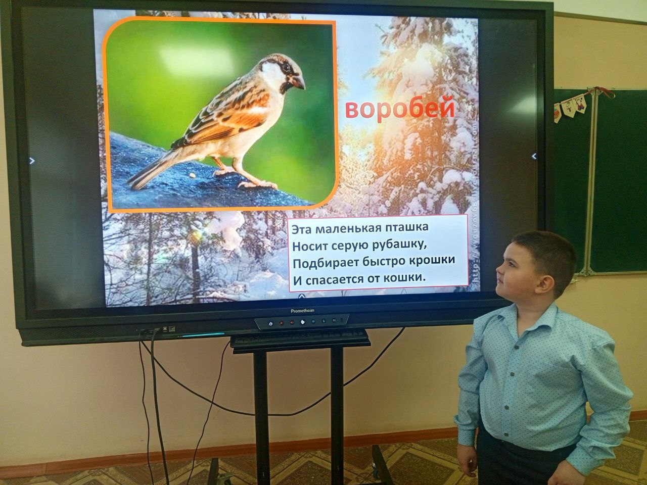 Использование ЦОС в начальном образовании.